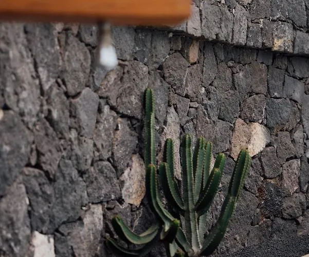 Вилла Villa Tinguaton *